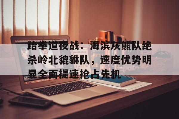 九游体育-跆拳道夜战：海滨灰熊队绝杀岭北貔貅队，速度优势明显全面提速抢占先机的简单介绍